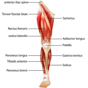 Dolor de talón: neuropatía de Baxter, síntomas y tratamiento